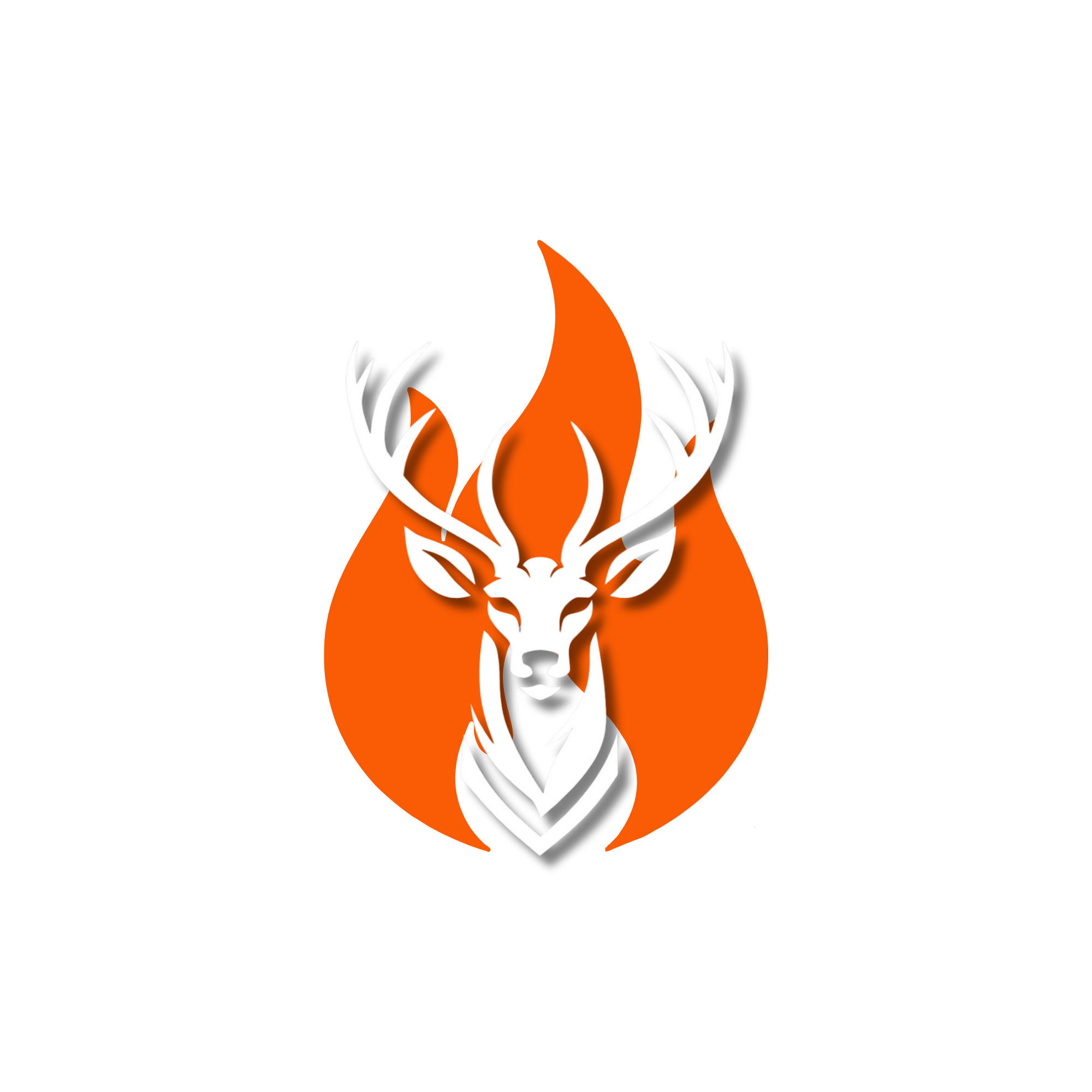 Bonfire Base Official Website
